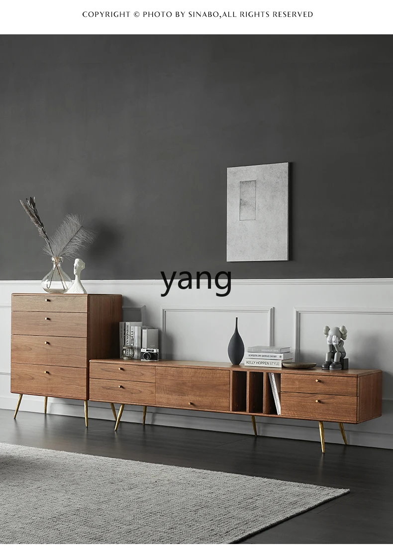 

LH Modern Minimalist Living Room Small Apartment Coffee Table Set Solid Wood Floor Cabinet