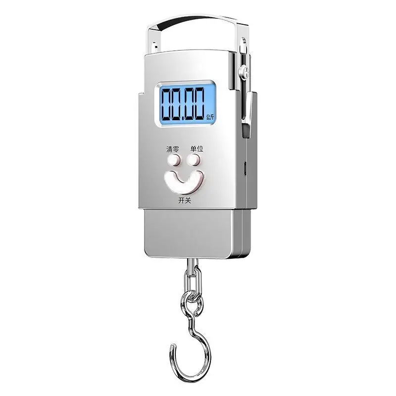 High-precision Portable Electronic Scale Household Spring Small Portable Mini Fish Weighing Device Small Hanging Hook in Hand