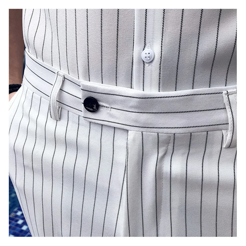 2023 Men Stripe Pants Slim Fit Midwaist Trousers Classic Vintage Check Suit Male Wedding Pants Men Business Formal Trousers 35