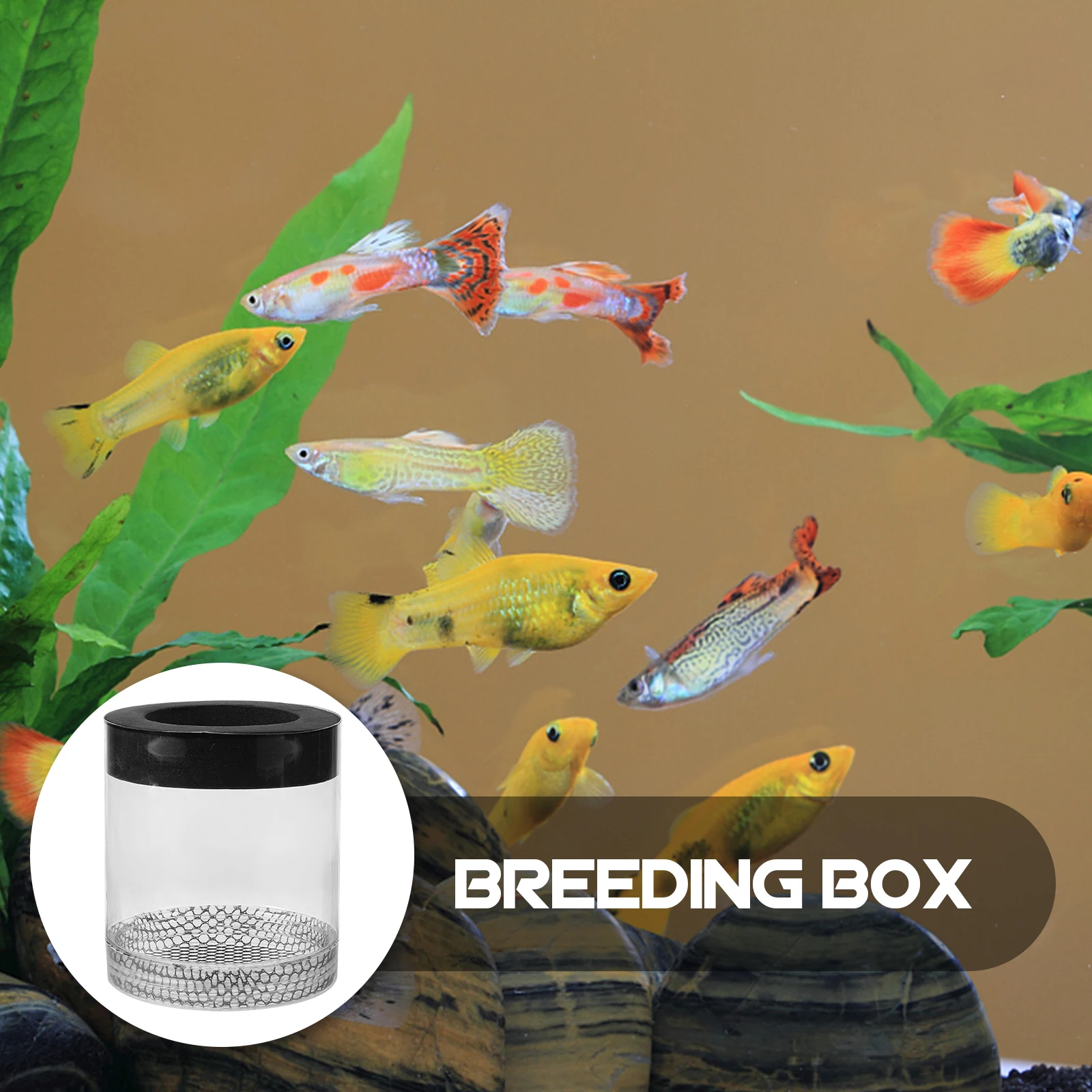 Guppy Breeding Tank Cage Aquarium Isolation Case Fry Nursery Transport Container Fish Tank Breeder Box Plastic Snake Proof Safe