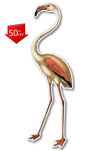 

Flamingo Illustration Phone Funny Laptop Motor Home Boat Window Waterproof Vinyl Decal Sticker Retro Trendy Aesthetic