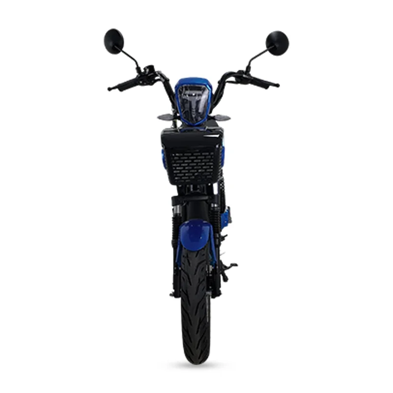 Adult Version Electric Bicycle 1200W 45km/h Electric Motorcycle image 2