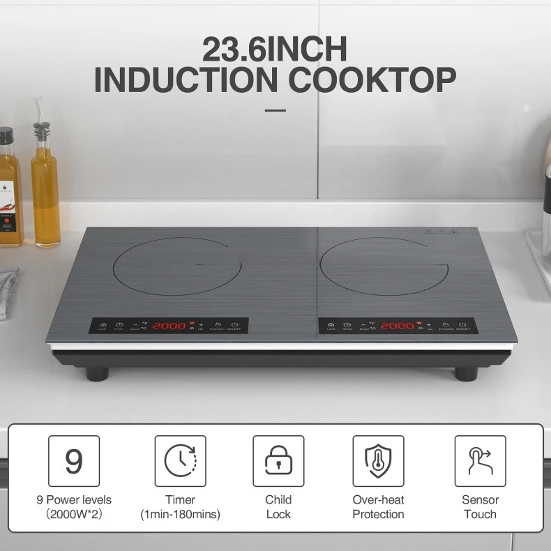 110V 220V Dual Voltage Induction and Electric Stove with Multi Burner Built in or Countertop High Power System