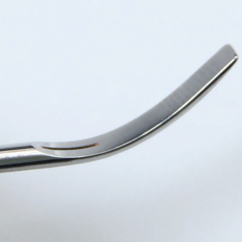 

5PCS G6 Dental Ultrasonic Scaler Tips G6 Piezo Scaling Tip G6 FOR EMS/WOODPECKER/MECTRON/HENRYSCHEIN