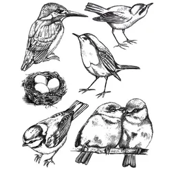 Bird Transparent Clear Silicone Stamp/Seal for DIY scrapbooking/photo album Decorative clear stamp W1681