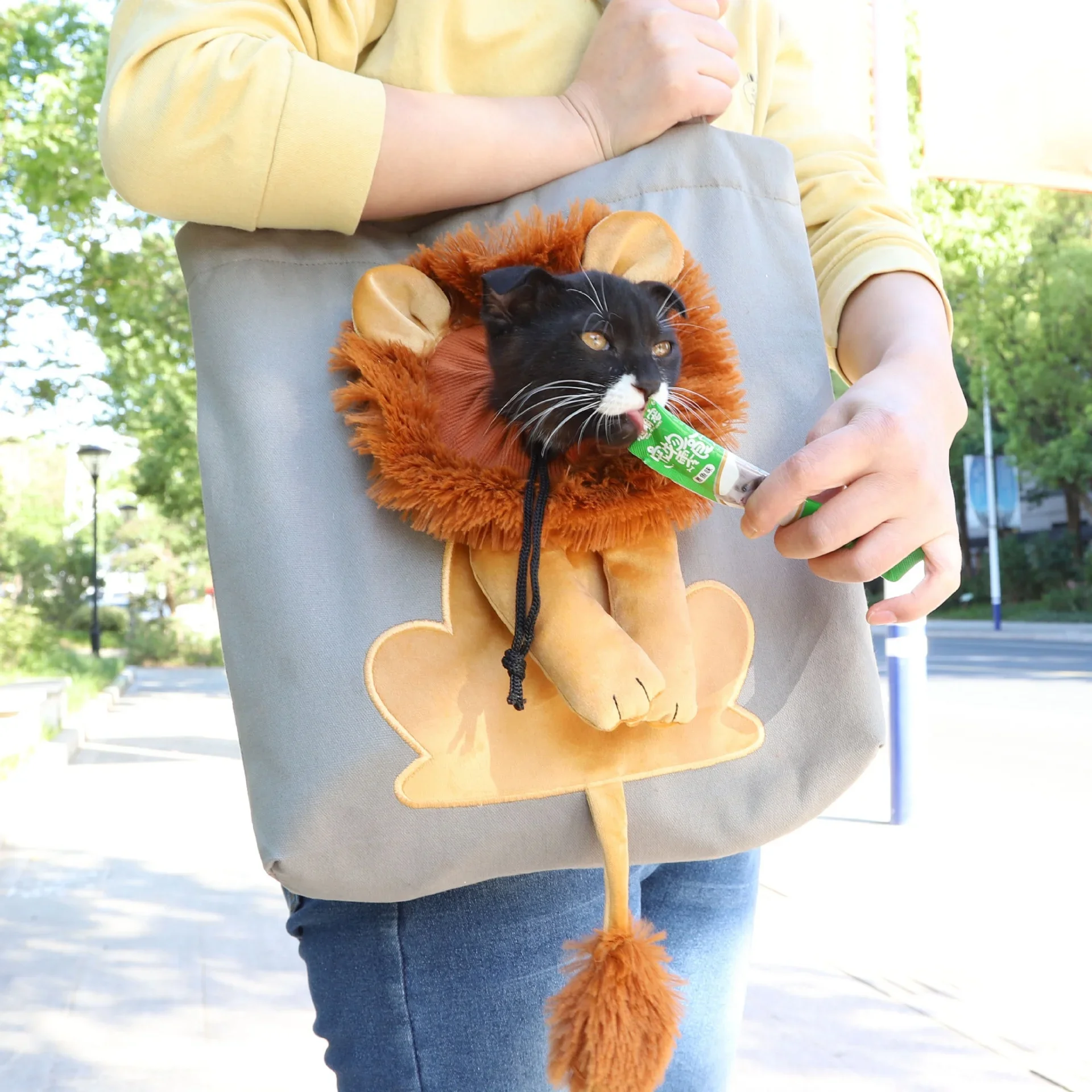 Fashionable Animal Pattern Cat Small Dog Pet Carrier Outdoor Convenience Canvas Shoulder Crossbody Backpack Head-Exposing Bag