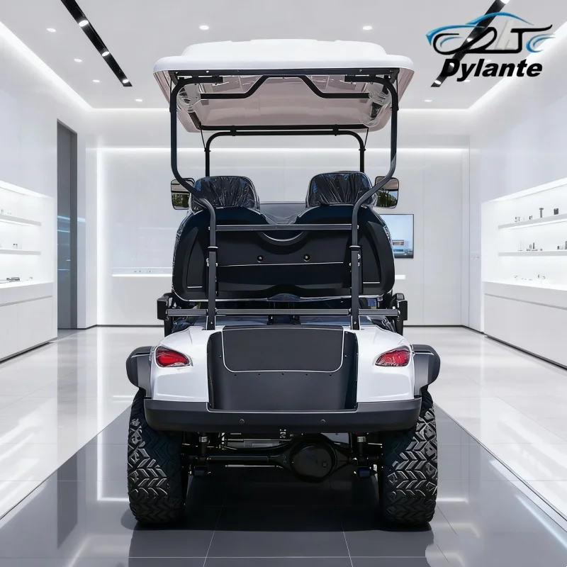 Новая высококачественная внедорожная клюшка 4000/5000/7000 Вт 48/60/72 В 2 4 6-местная электрическая тележка для гольфа с багажником 10-дюймовый большой экран
