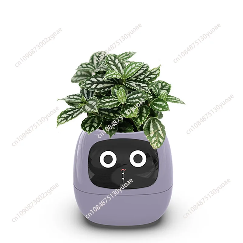 

Smart and Cute Pet Pot, Green Plants, Ivy Table Top, Let Your Plants Express Emotions, New