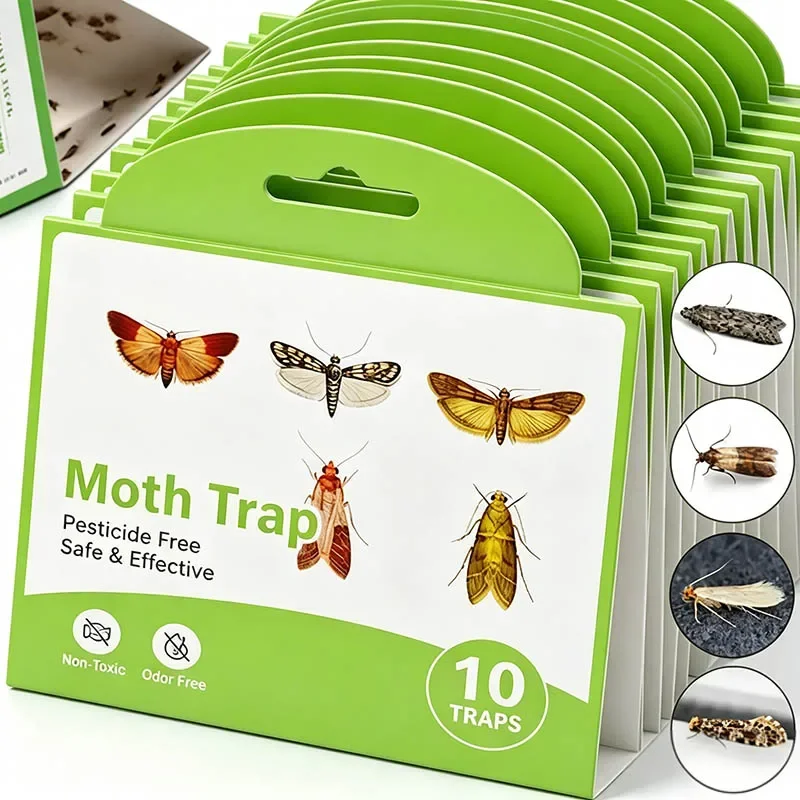 Sticky Moth Traps Insect Catcher Fly Sticky Trap Fly Catcher Sticker Plate Trap Garden Pantry Food Restaurant Insect Sticky Trap