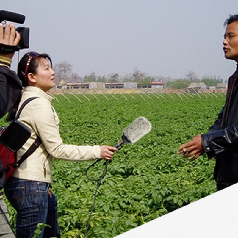 Protector viento peludo artificial para parabrisas micrófonos RODE NTG1 NTG 2