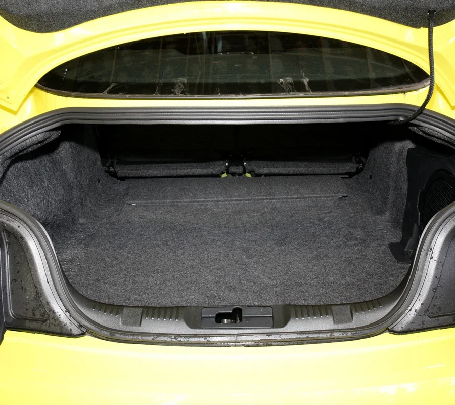 For Ford Mustang 16 17 18 19 20 21 2015-2022 Custom Fit Car Trunk Mat All Season Cargo Mat 3D Shape Laser Measured Trunk Liner