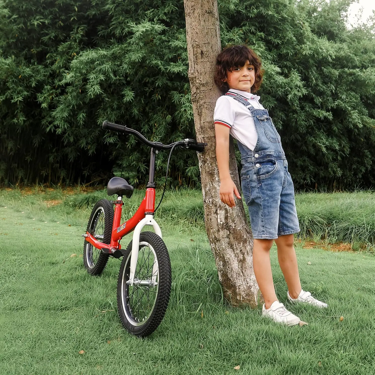 Balance Bike 2 in 1,The Dual Use of a Kids Balance Bike and Toddler Bike, for 2 3 4 5 6 7 Years Old -12 14 16 Inches with Traini