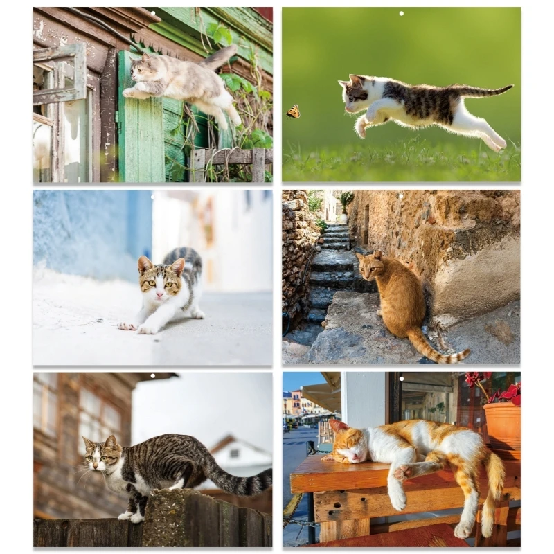 تقويم حائط القطط الفني 2026 ورق سميك معاد تدويره ترقيم واضح خطاف تعليق عملي مثالي لمحبي القطط F19E #3