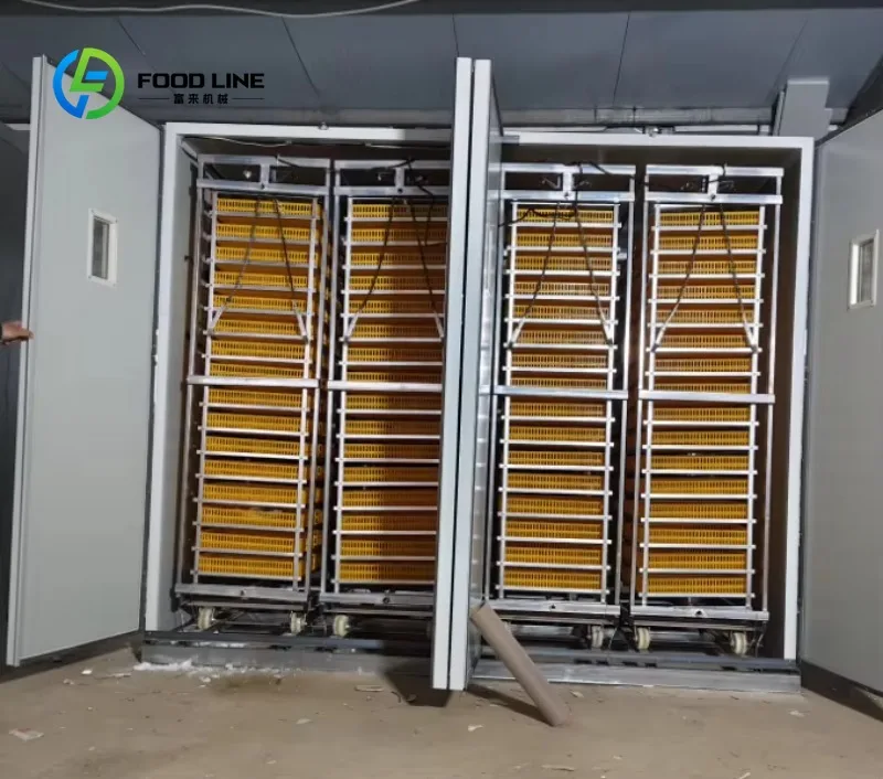 Fully automated large professional poultry incubator with controlled temperature and humidity