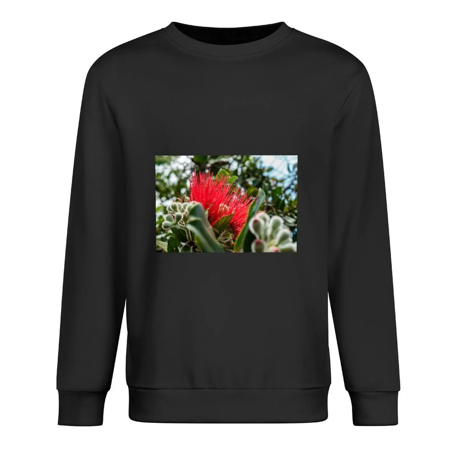 

Ohia Lehua Pullover mens clothing mens designer clothes men's clothes korean clothes sweatshirts men
