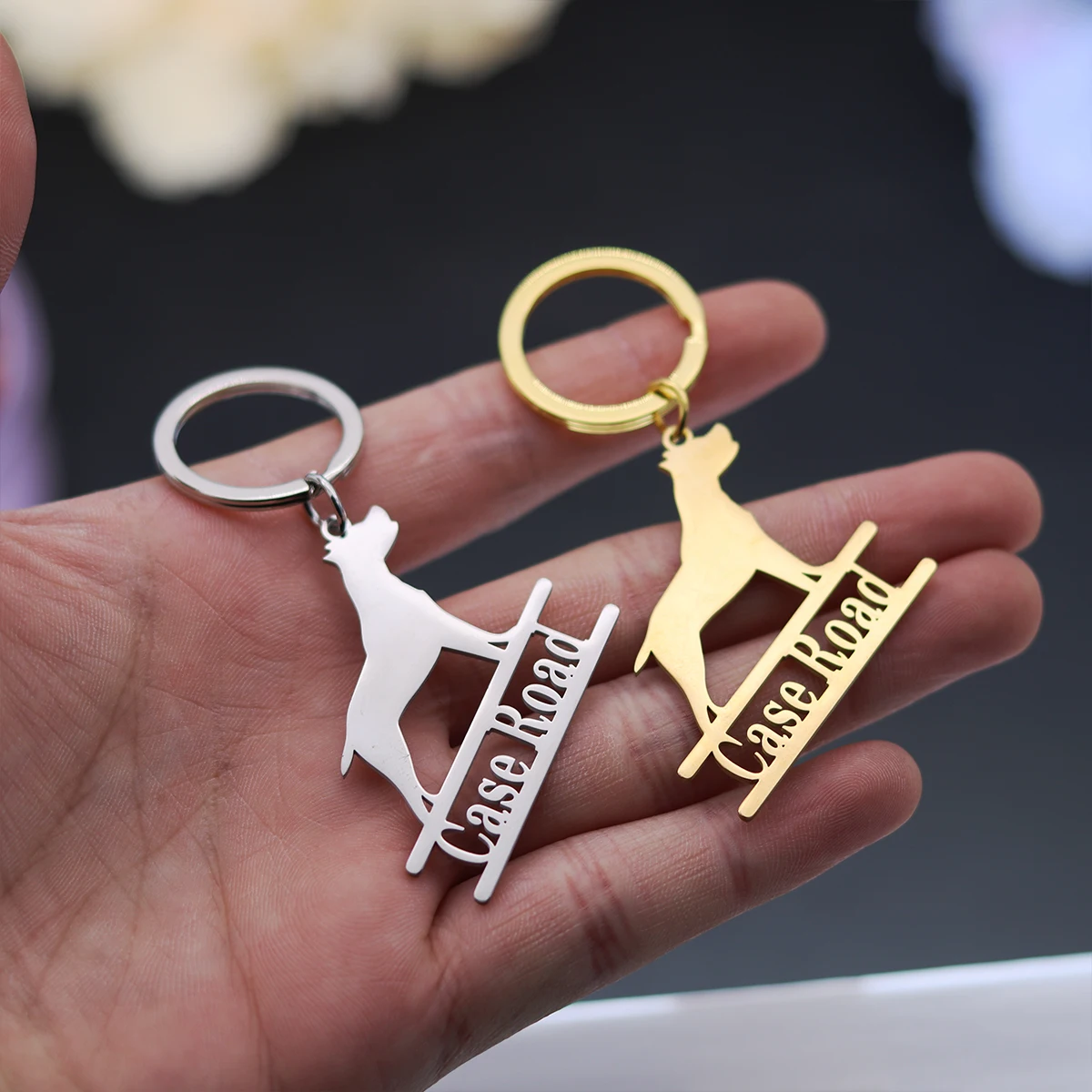 

QIAMNI Engraved Dog Nameplate Key Chain Birthday Gifts Stainless Steel Custom Animal Name Keychain Personalized Memory Keyring