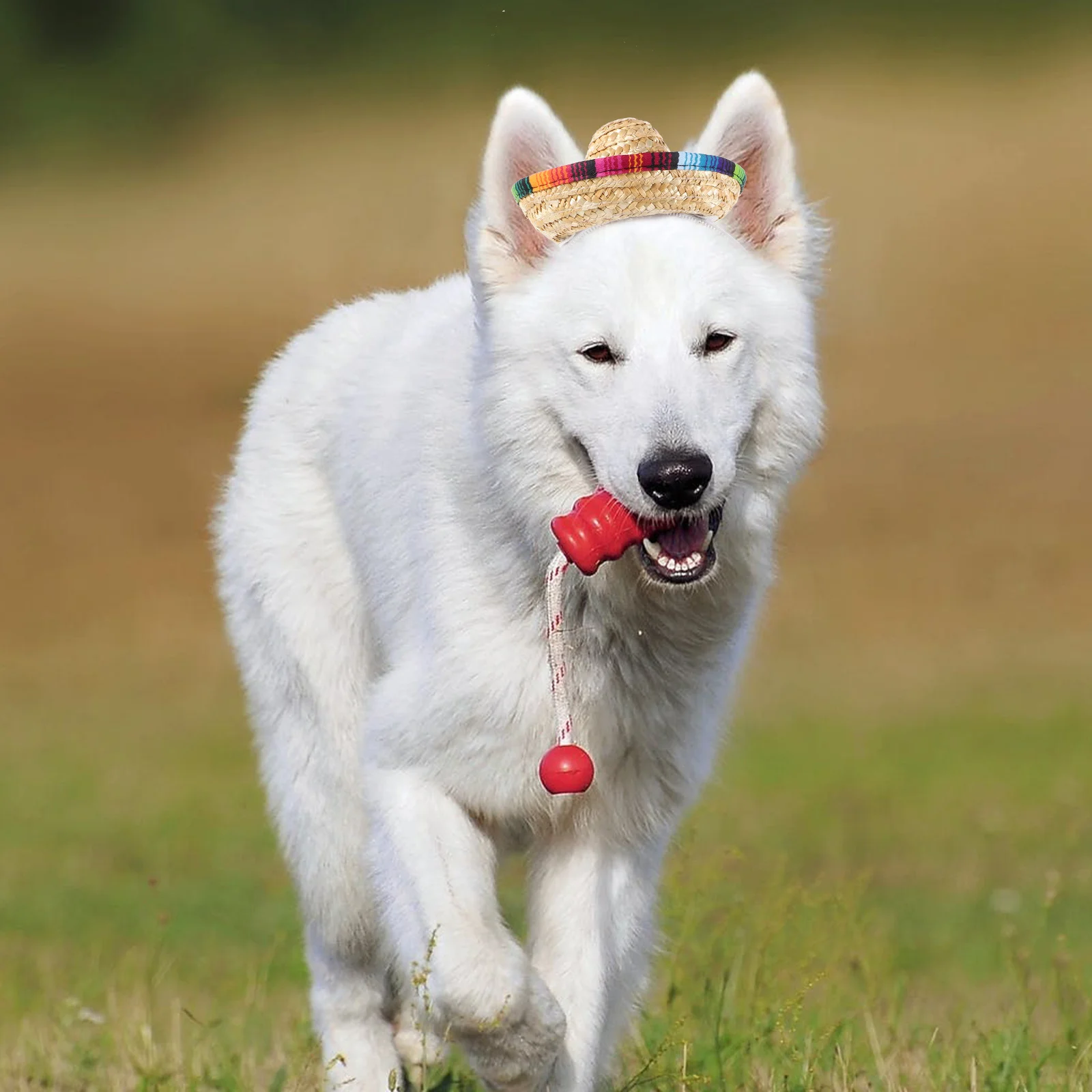 

Mexican Sombrero Headband For Dogs Soft Costume Accessory Lightweight Party Photo Prop Dog Headdress Festival Pet Headwear