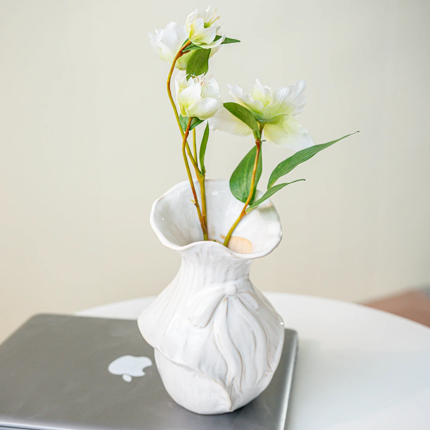 CAPIRON Retro Nordic Keramisch - Pampas Grass Decor recensie en prijs