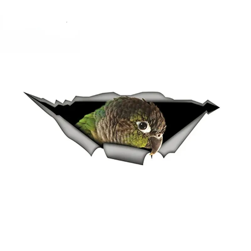 Waterproof 15cm PVC Self-adhesive Green Cheek Parrot Car Sticker Custom OEM Decal For Bumper Rear Window Laptop Decor