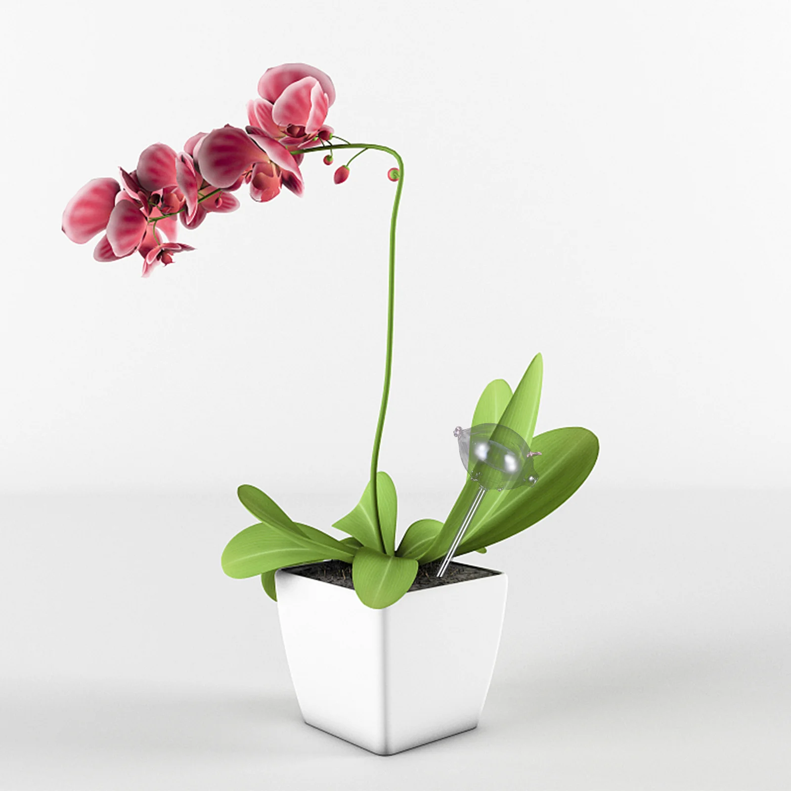 جهاز سقي النباتات الأوتوماتيكي على شكل كرة أرضية للنباتات الداخلية أداة ري المياه الممتازة على شكل زهرة زجاجية جميلة