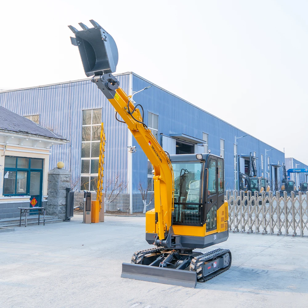 حار بيع حفارة صغيرة 3 طن حفارة مجنزرة محمل هيدروليكي حديقة استخدام محرك كوبوتا CE EPA Euro 5 مخصص في المخزون #4