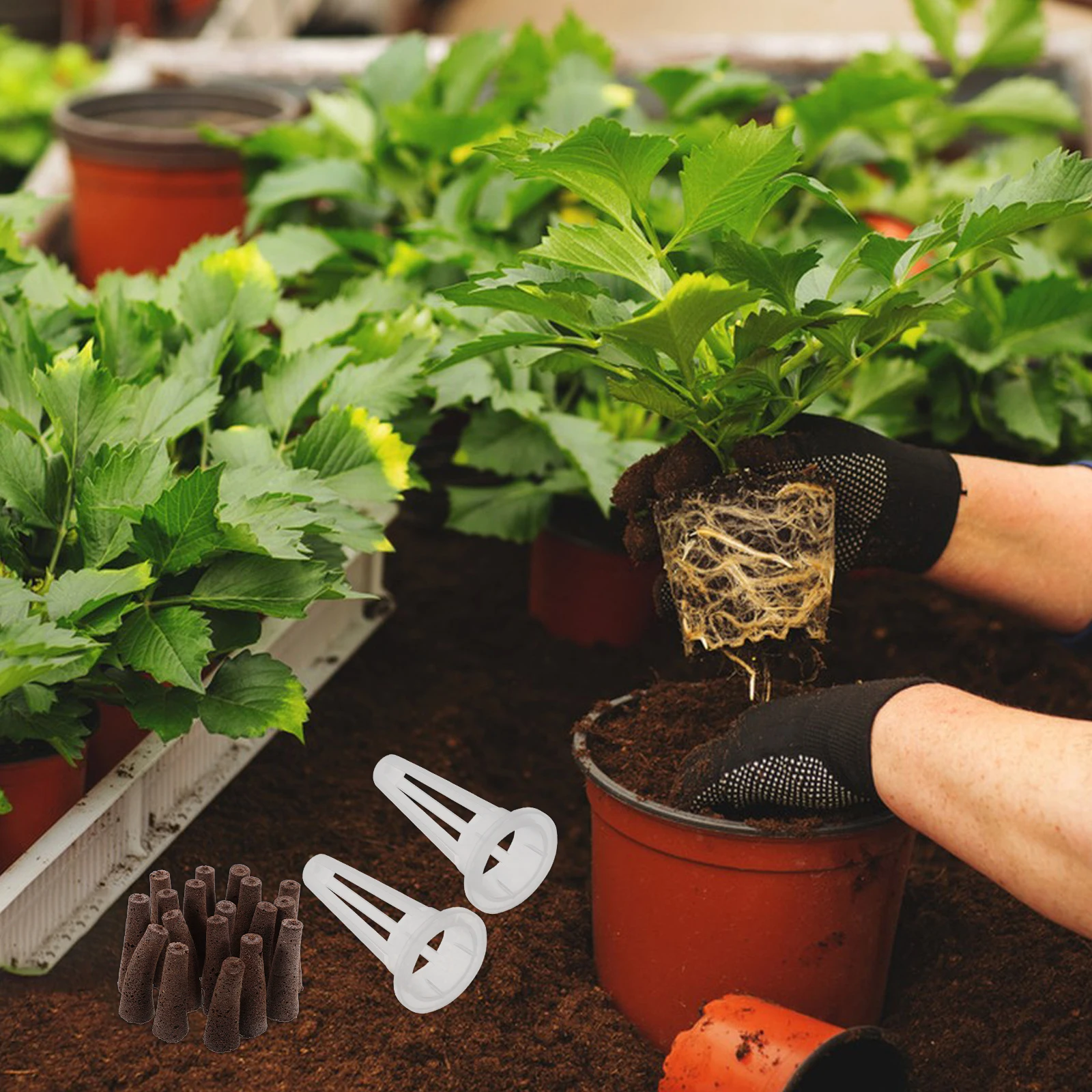 

Hydroponic Planting Machine Set 161 Pieces 7 Styles Comprehensive Kit Grow Baskets Hydroponic System Gardening Supplies Indoor