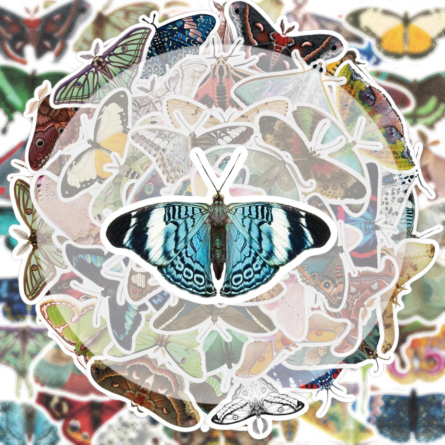 50 Vintage Moth Graffiti Stickers, Suitable for Decorating Water Bottles, Laptops, Cell Phones, Suitcases, Skateboards, Guitars, Gift Boxes, and Party Decorations
