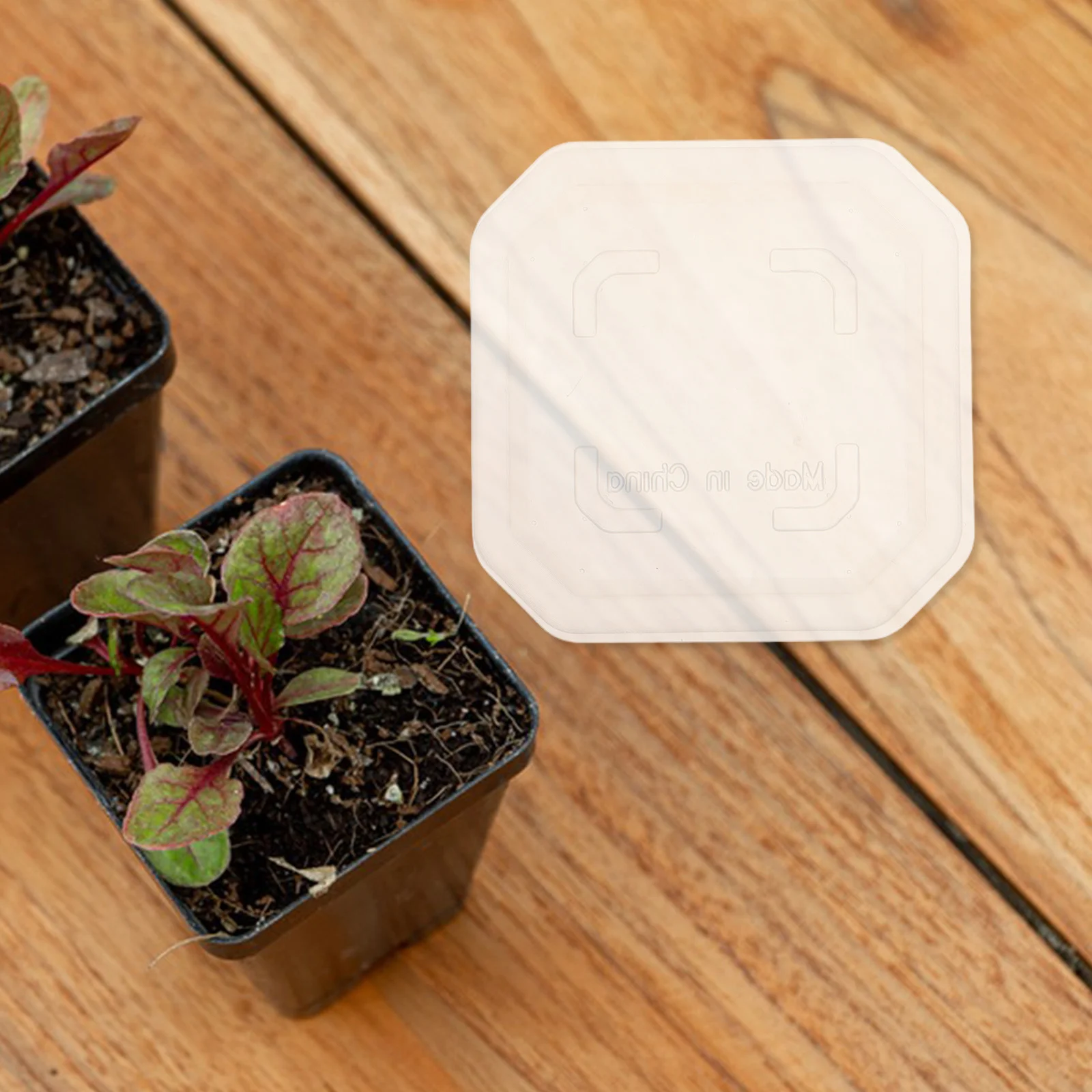 

20Pcs Square Plastic Flower Pot Saucer Thick Clear Tray Indoor Outdoor Plant Water Drip Tray Garden Trays for Plants