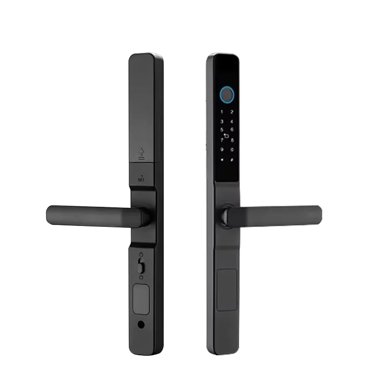 Qleung Biometric Fingerprint & RFID Card Smart Waterproof Security Alarm Door For Apartment Sliding Door WiFi