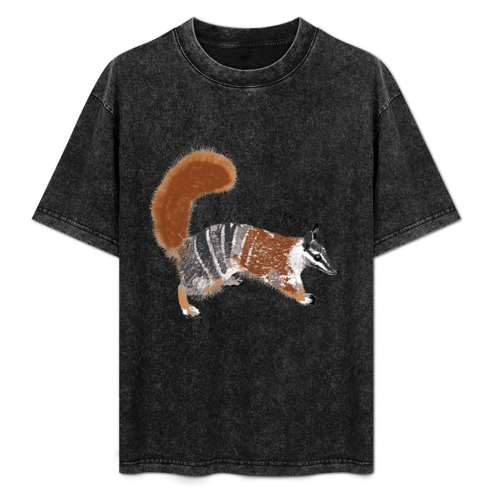 

Numbat (Myrmecobius fasciatus) by Chrissy Wild T-Shirt oversized t shirt blue lock Men's clothing