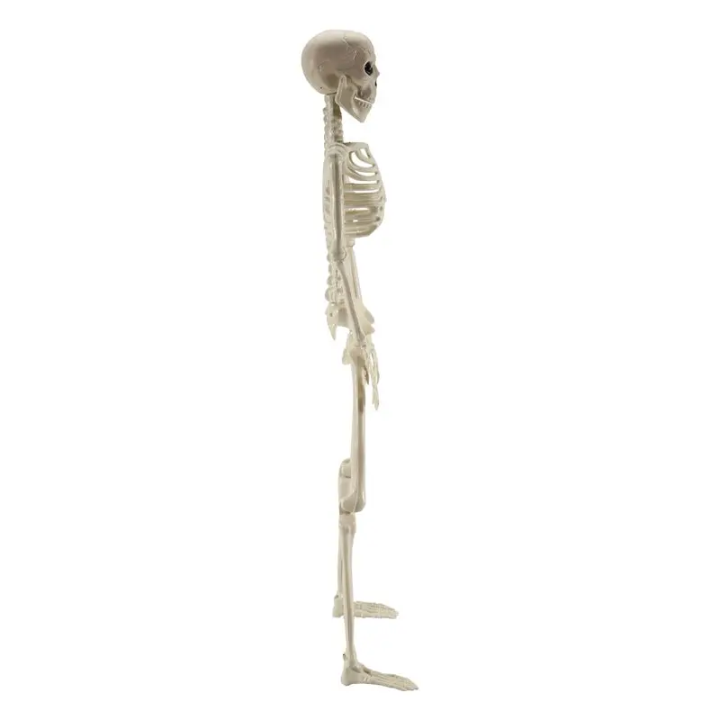 AA94-Halloween Skeleton Decoration, Posable Full Body Skeleton With Movable Joints, Spooky Prop For Yard, Garden, Lawn, Patio