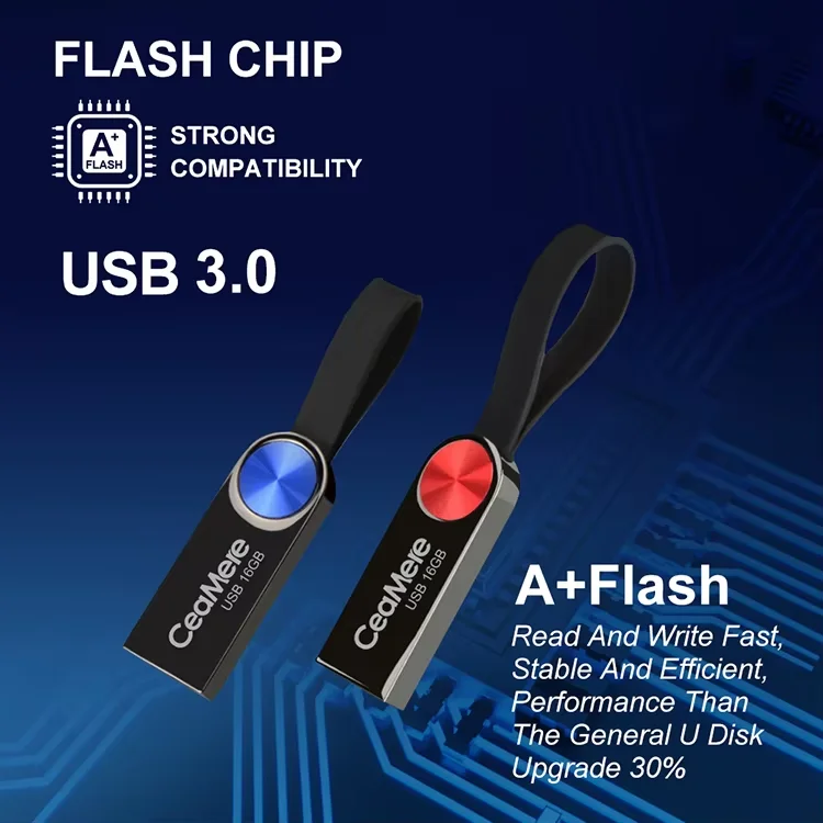 10 Stück 2.0/3.0 Hochgeschwindigkeits-USB-Stick mit Individuellem Logo 4GB 8GB 16GB 32GB 64GB 128GB Metall-USB-Stick mit Schlüsselanhänger als Geschenk – Detail 14