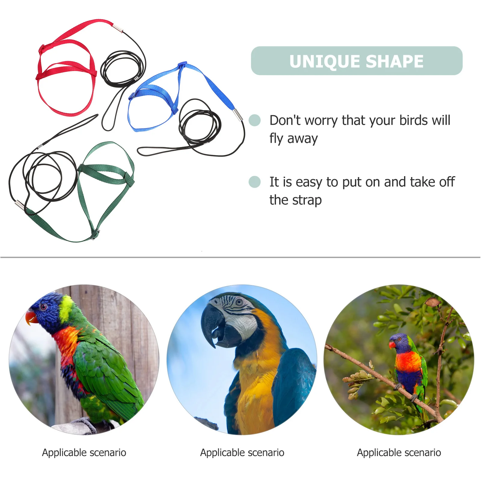 

3Pcs Parrot Adjustable Flight Harness Bird Training Leash Non-Slip Handle Safe Outdoor Use Easy Strap Removal Bird Fly Train Kit