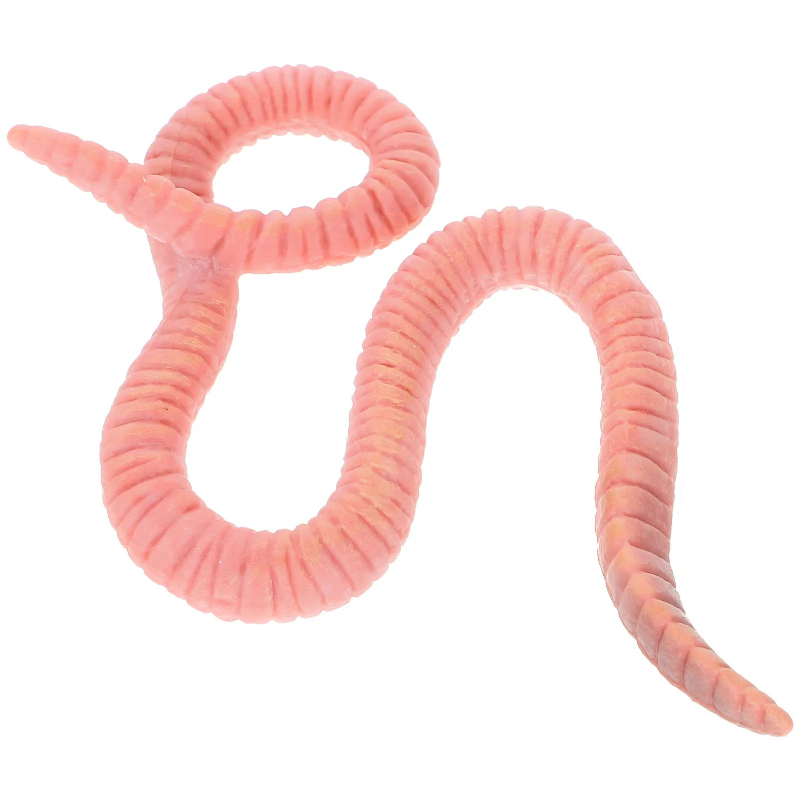 

Simulation Earthworm Animal Realistic Plastic Fake Earthworm Decoration Educational Garden Bedroom Ornament Lifelike Insect