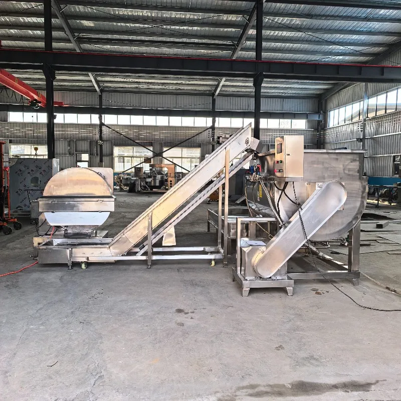 Meat and Seafood Slicing Thawing Equipment Ice Thawing Machine Food Processing Supporting Equipment view 3