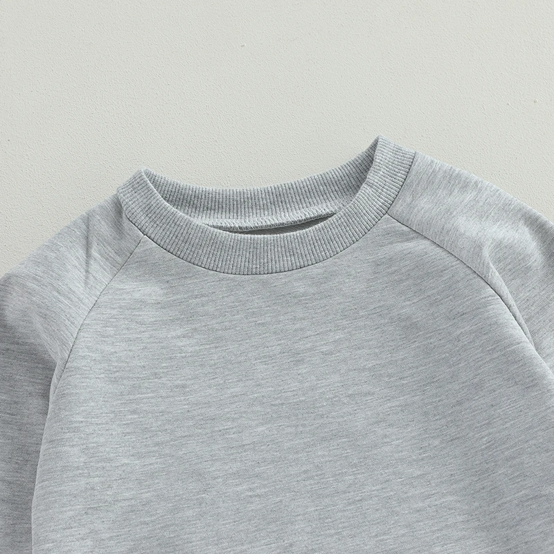 Survêtement à manches longues pour tout-petits, sweat-shirt, pull, pantalon en Y, tenues pour bébés garçons, 2 pièces