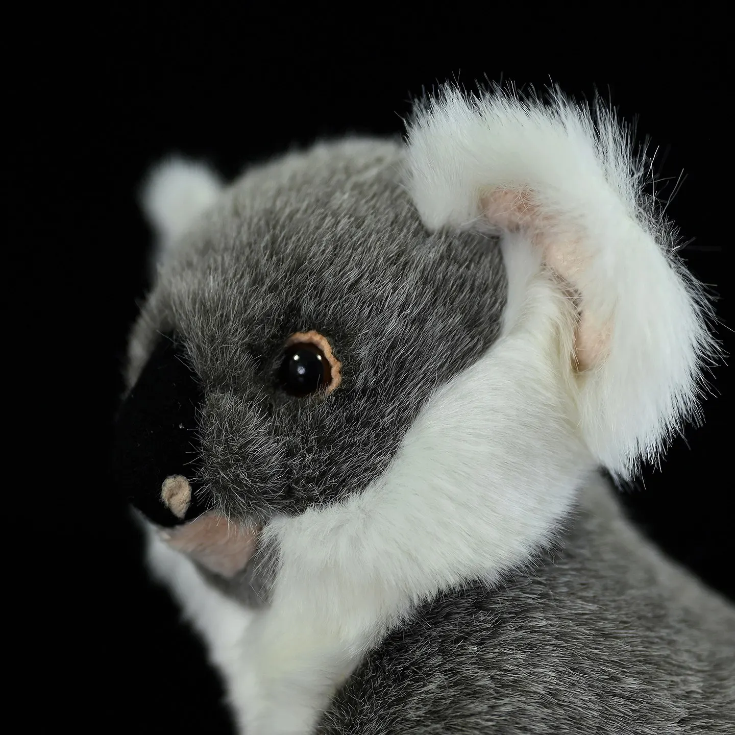 Phascolarctos Cinereus, Koala , 24cm, Realistic Australian Koala Cute Wallaby Stuff