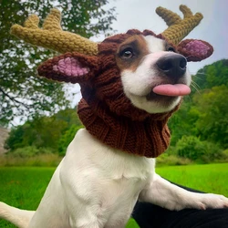 Gorro de punto con diseño de Orejas de conejo para mascota, gorro cálido de invierno para cachorro, perro, gato, Animal, gorros de punto para Navidad