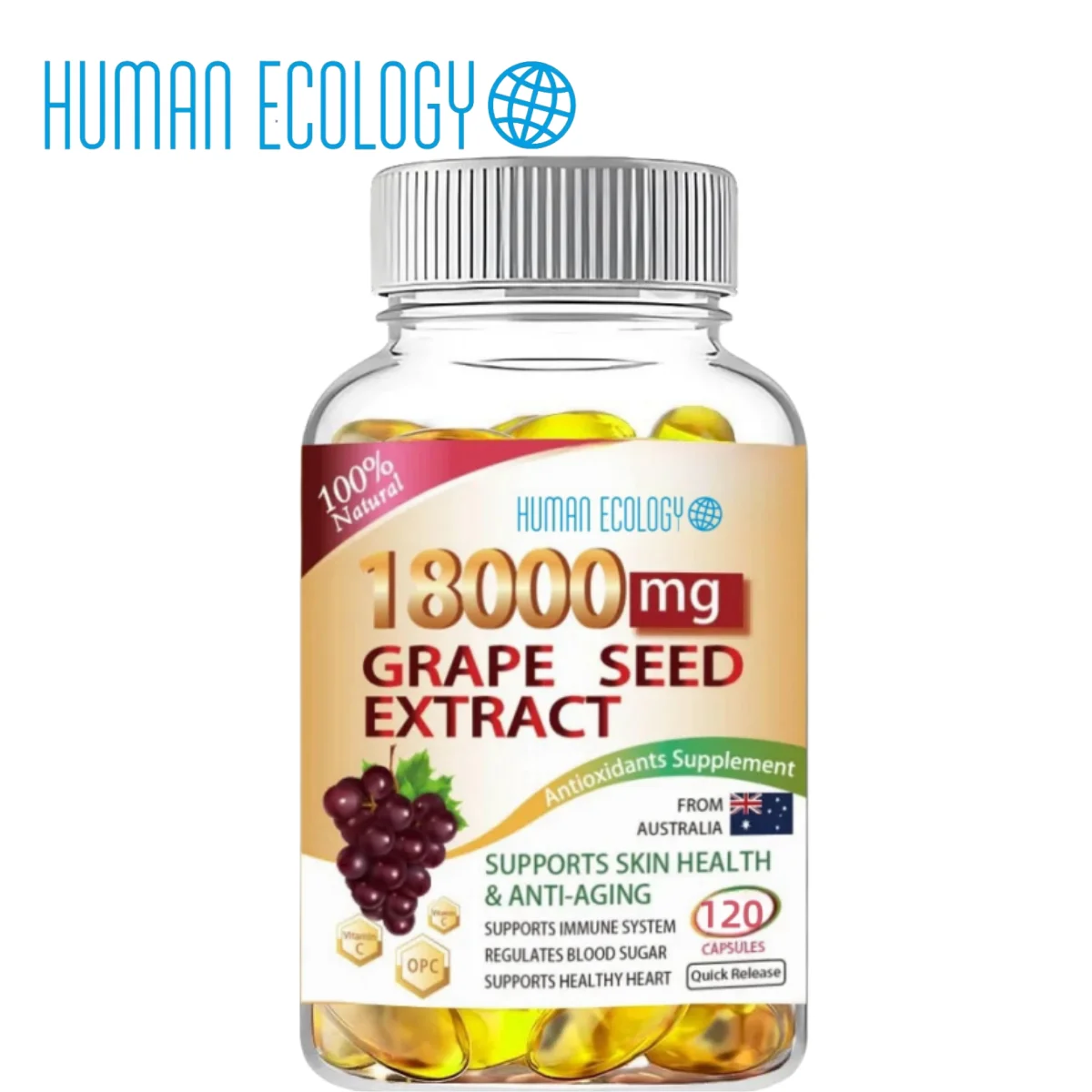 

Human Ecology Grape Seed Extract Anthocyanins for Maximum Absorption, Powerful Antioxidant & Anti-Aging Pills Skin Health