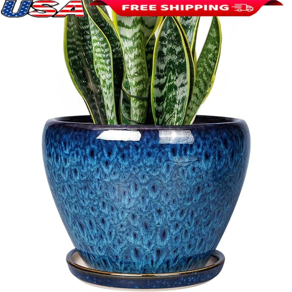 Blue Ceramic Plant Pot 8 Inch with Drainage Hole and Saucer Perfect Indoor Outdoor Flowers and Succulents