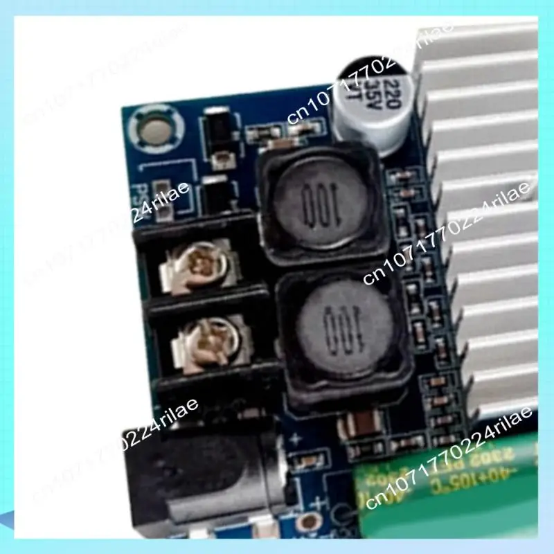 

A17Z TPA3116 High-Power Subwoofer Amplifier Board Mono 100W Fever Level Audio Quality 24V