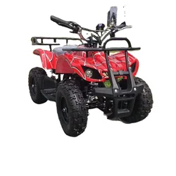 Sprzedaż fabryczna 49cc 50cc 125cc silnik benzynowy wózek plażowy mini atv 4-kołowy quad rower atv dla dzieci i dorosłych