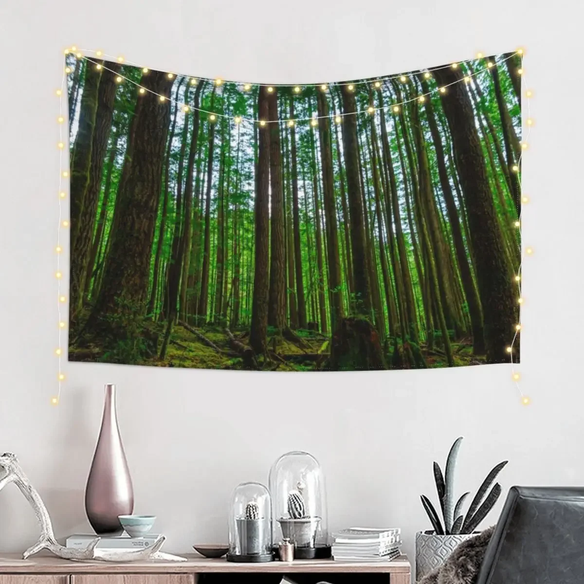 Endor Tapestry Home Decorations Aesthetic Home Supplies Outdoor Decor Room Aesthetic Tapestry