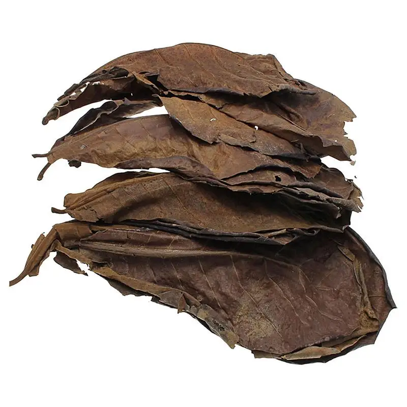 Natural Almond Leaves 10Pcs Catappa Leaf To Lower PH Level And Improve Water Quality Water Treatments Balance PH Acidity Almond