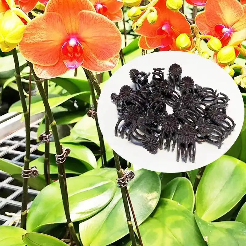 50Pcs Plant Fixed Clip Butterfly Orchid Support Clamp Reusable Flower Stem Vine Tied Clip Fruit Vegetable Grafting Garden Tools