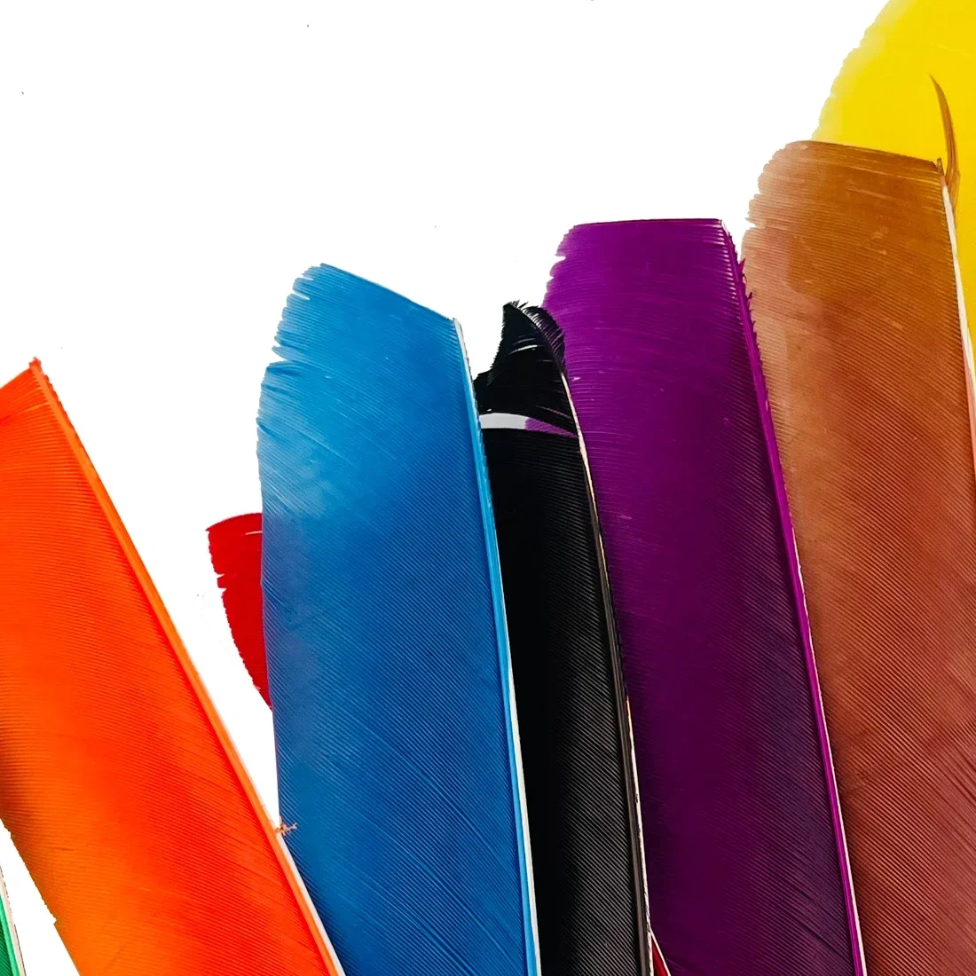 Thumbnail 2 - #38 Low Price Arrow Fletchings Deals