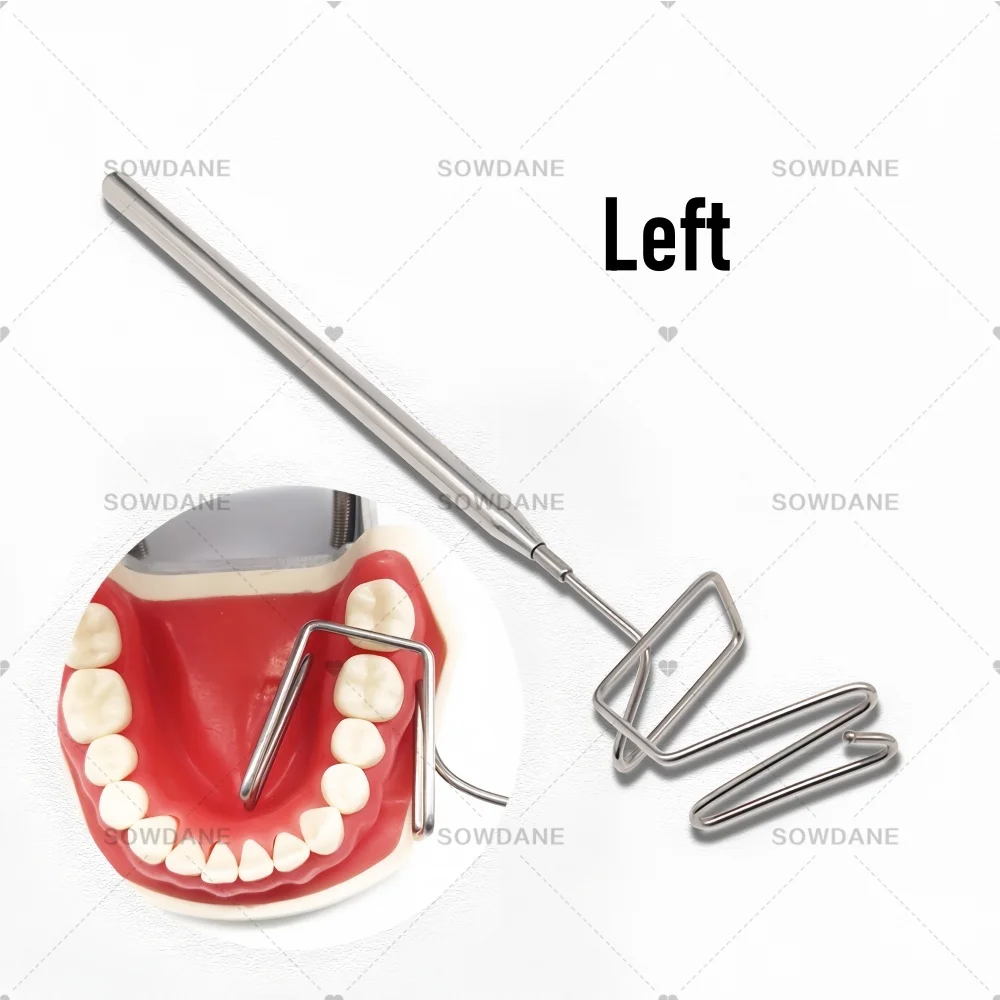 

Y Lab Stainless Steel Lingual Separator Tongue Isolator Lip Cheek Isolator Lip Cheek Separator Retractors Best Tool