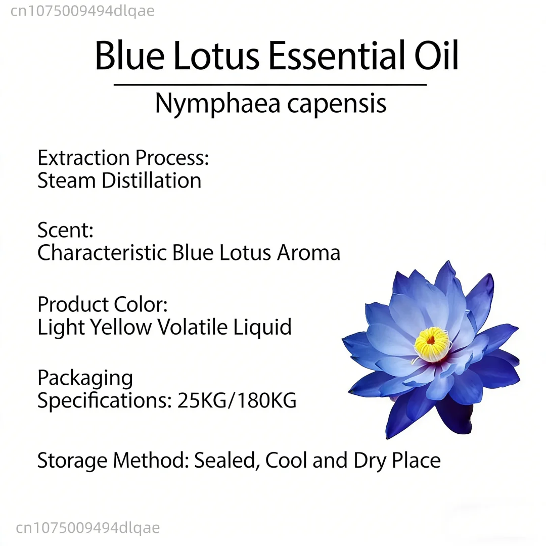 Pure Natural Blue Lotus Oil Aromatherapy Fragrance Oil For Incense Burner, Relaxation, Diffuser Home Scent Aromatherapy Incense