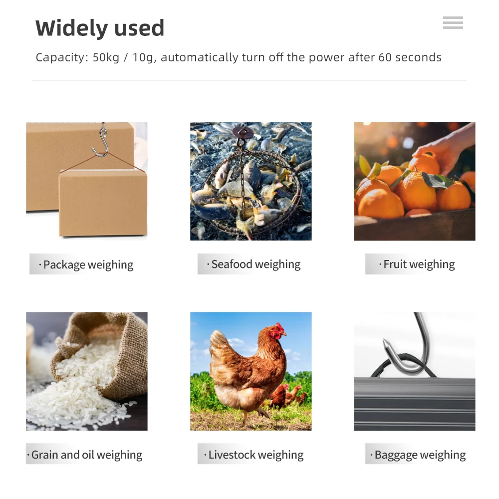 50 كجم 10 جرام مقياس بخطاف رقمي المحمولة ميزان معلق ميزان الوزن الإلكتروني الأمتعة الصيد ميزان ميزان قياس الدقة #5