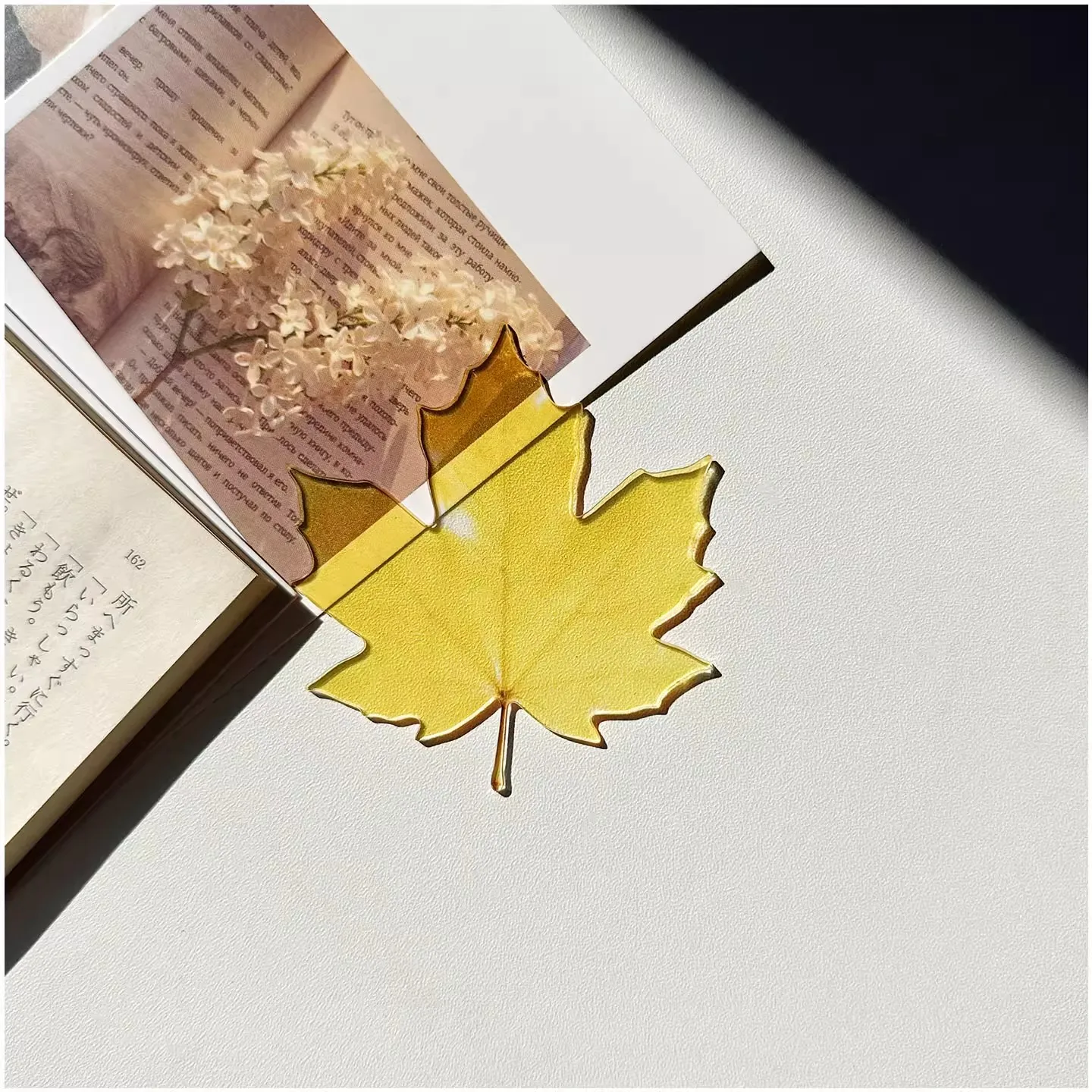 المرجعية الأصلية الاكريليك شفا - مراجعة Aesthetic Bookend وسعره